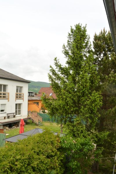 Stylische Wohnung / / 2511 Pfaffstätten / Bild 16