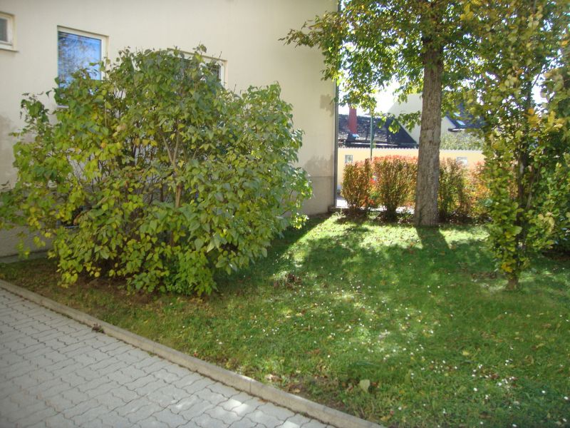 Ruhig aber doch sehr zentral, 2 Zimmer in Pfaffst�tten /  / 2511&nbsp;Pfaffst�tten / Bild 1