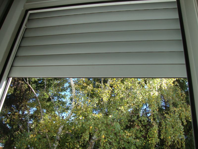 Ruhig aber doch sehr zentral, 2 Zimmer in Pfaffst�tten /  / 2511&nbsp;Pfaffst�tten / Bild 5