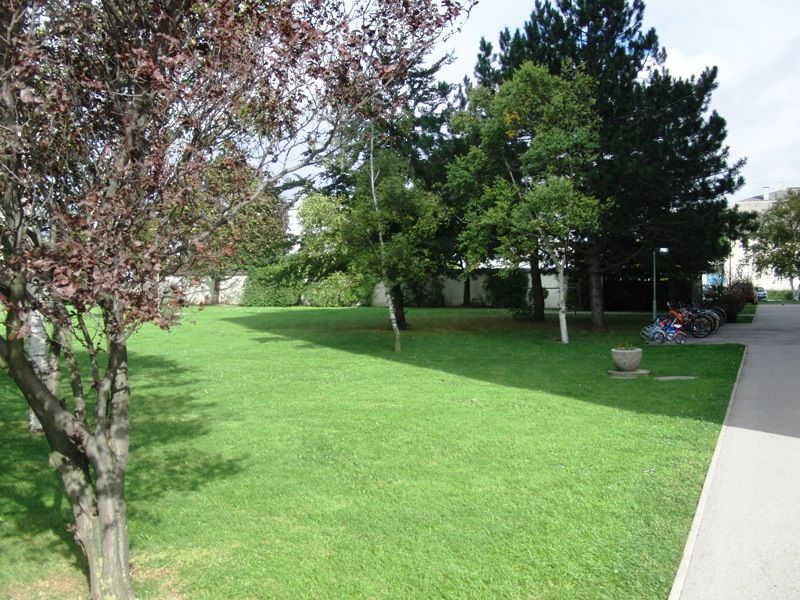 3 Zimmer Wohnung plus Loggia und Lift /  / 2500&nbsp;Baden / Bild 2