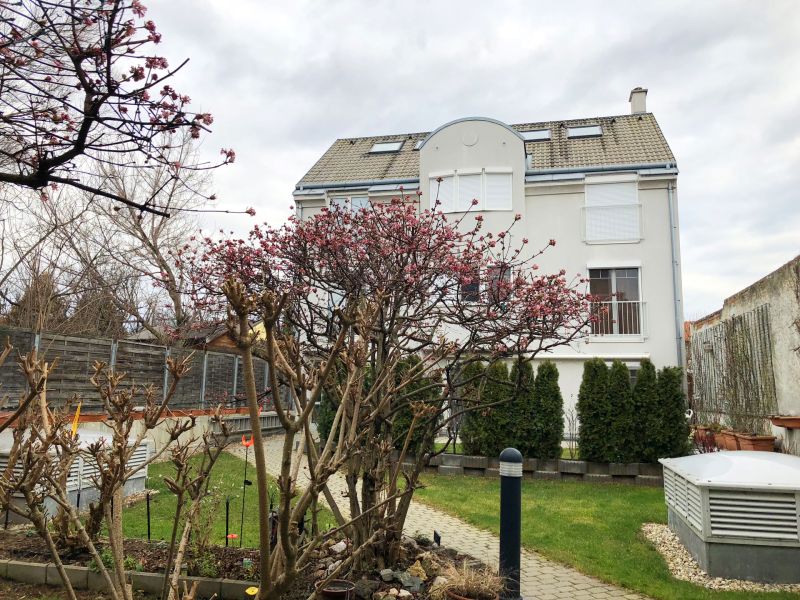 Zwei Zimmerwohnung mit Wienblick (inkl. Garagenabstellplatz) / / 2331 Vösendorf / Bild 12