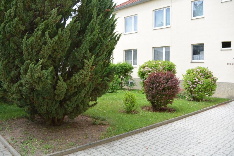 1 Zimmer mit separater K�che /  / 2511&nbsp;Pfaffst�tten / Bild 4