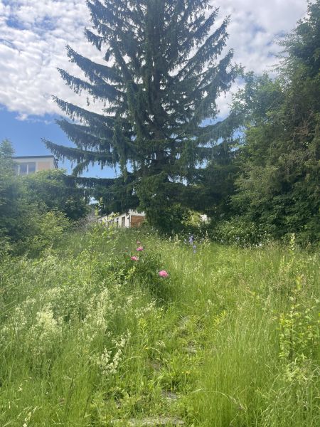 Top-Lage in Perchtoldsdorf ? Sanierungsbedrftiges Haus mit groem Potenzial /  / 2380 Perchtoldsdorf / Bild 6