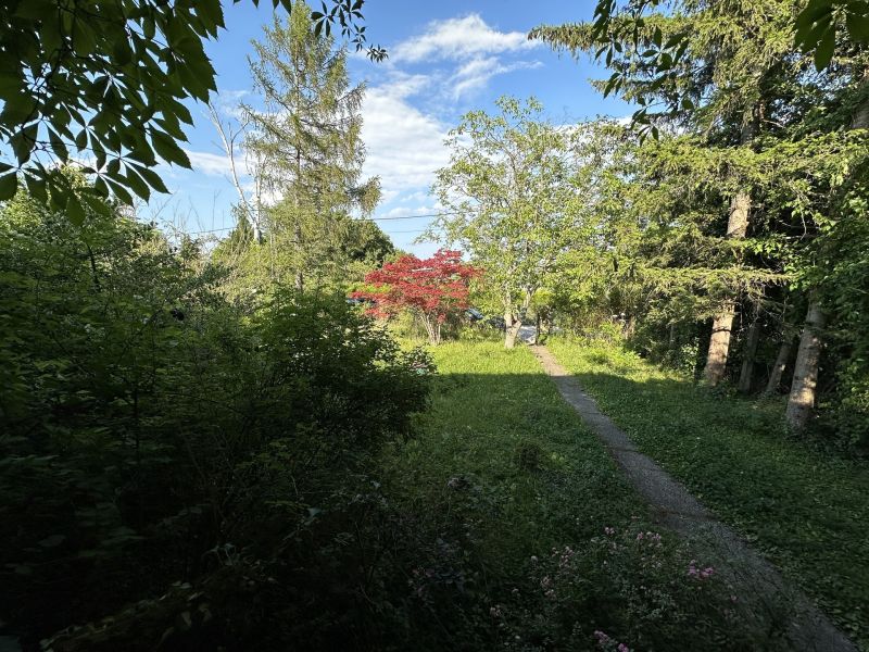 Super Grundstck mit tollem Blick! /  / 2345 Brunn am Gebirge / Bild 6
