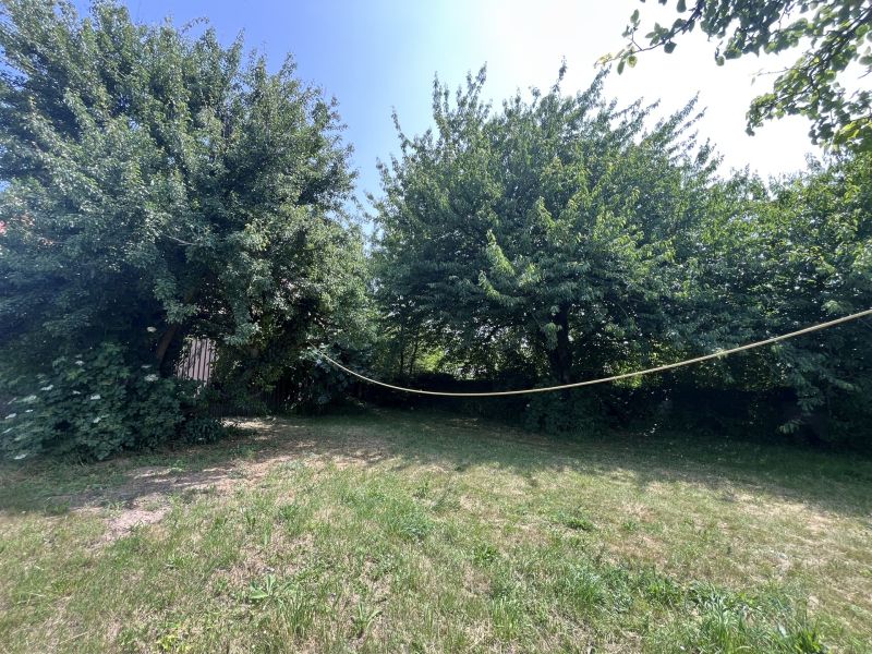 Grundstck mit Altbestand /  / 2413 Edelstal / Bild 4
