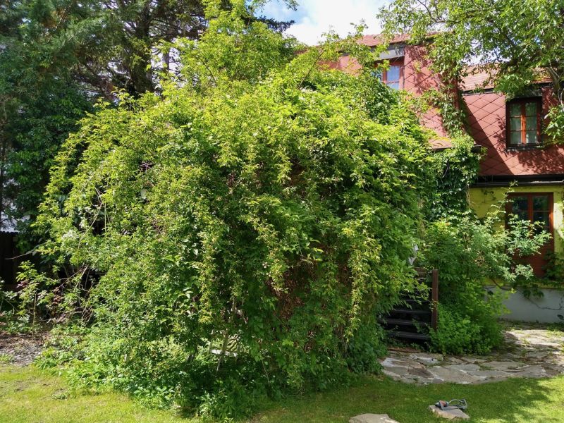 Natur pur , tolles Haus /  / 2345&nbsp;Brunn am Gebirge / Bild 4
