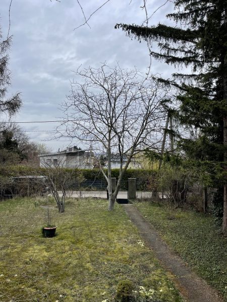 Super Grundstck mit tollem Blick! /  / 2345 Brunn am Gebirge / Bild 16