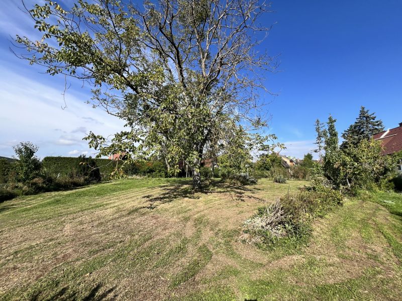 Baugrundstck Nr.1 in toller Lage