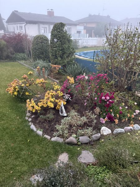 toller Garten, nettes Haus / / 2601 Eggendorf / Bild 3