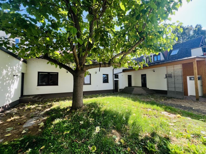 Mehrfamilienhaus mit Garten /  / 2522 Oberwaltersdorf / Bild 3