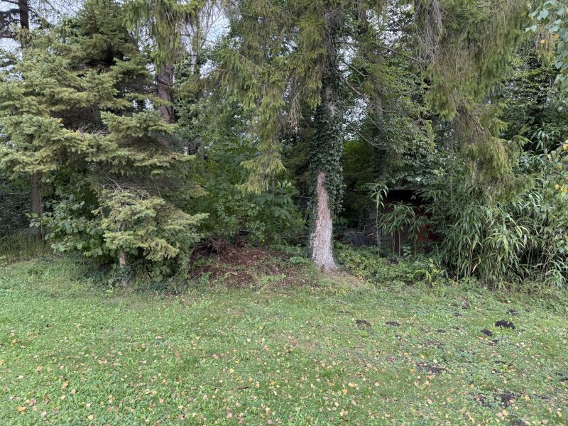 Natur pur /  / 2440 Moosbrunn / Bild 9