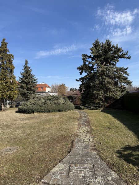 netter Bungalow & Keller & Garage /  / 2490&nbsp;Ebenfurth / Bild 9