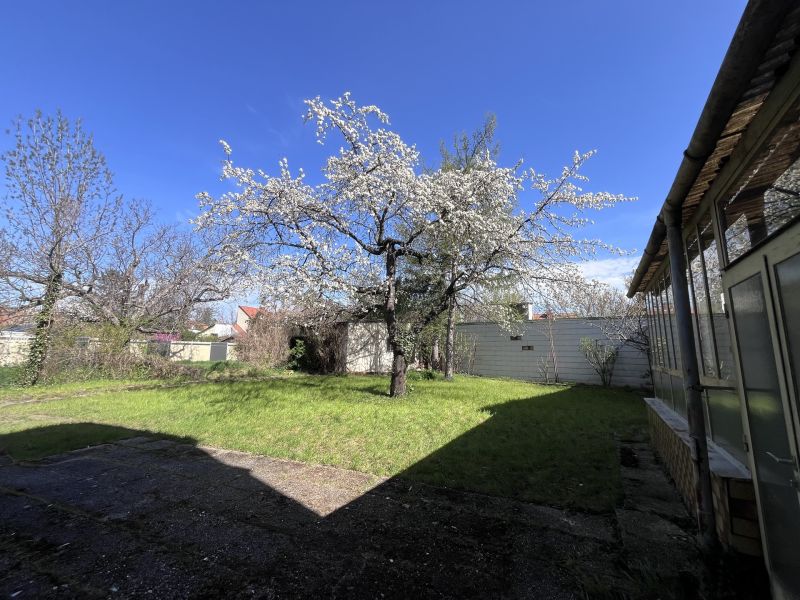 12 Zimmer Haus  mit Geschftslokal auf 948 m2 Grundstck /  / 2500 Baden / Bild 3