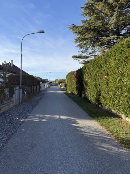 toller Garten, nettes Haus / / 2601 Eggendorf / Bild 1