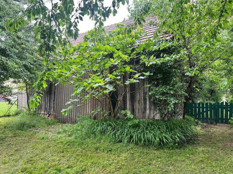 Grundstck mit Altbestand /  / 2413 Edelstal / Bild 1