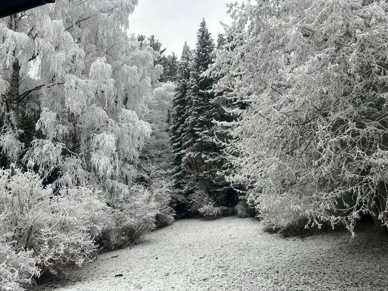 300 Meter von der MITTELSTATION STUHLECK entfernt /  / 8684&nbsp;Spital am Semmering / Bild 6