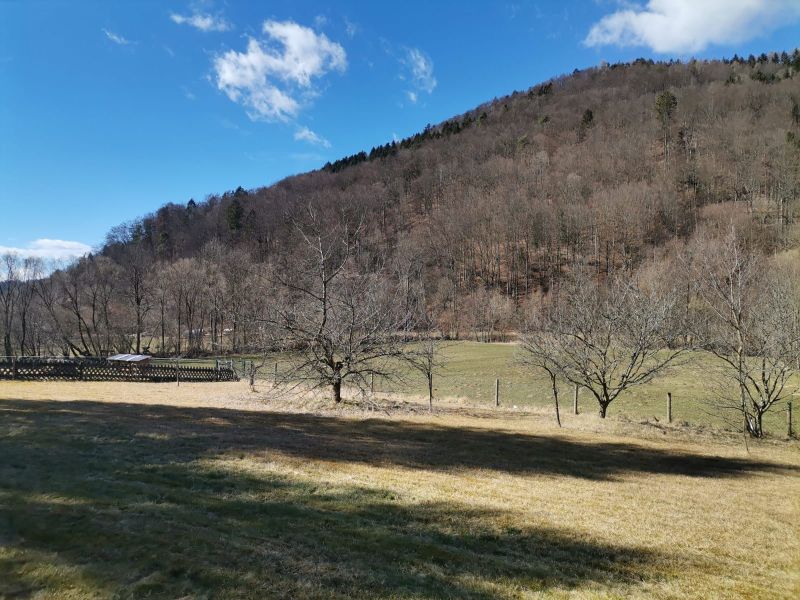 Traumhaus in der Steiermark mit Bergblick, Fernblick in 8244 Schffern /  / 8244 Schffern / Bild 9