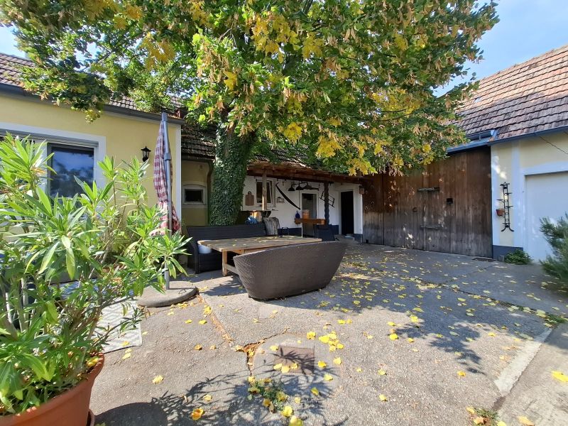 Vielseitig nutzbare Liegenschaft mit ausreichend Platz und herrlichem Blick auf die Hohe Wand /  / 2732 Wrflach / Bild 1