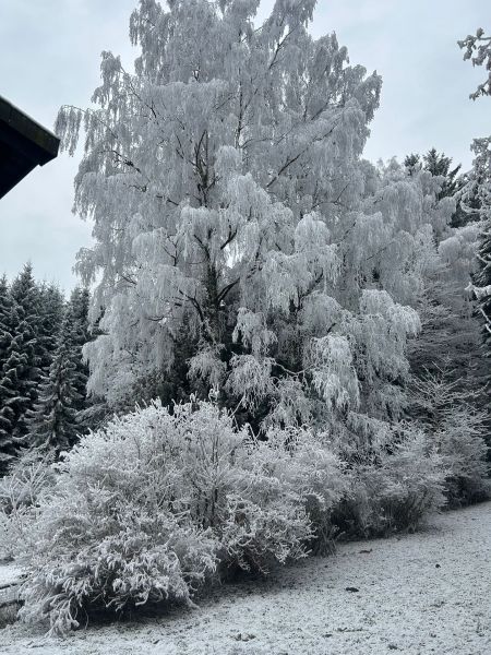 300 Meter von der MITTELSTATION STUHLECK entfernt /  / 8684&nbsp;Spital am Semmering / Bild 7