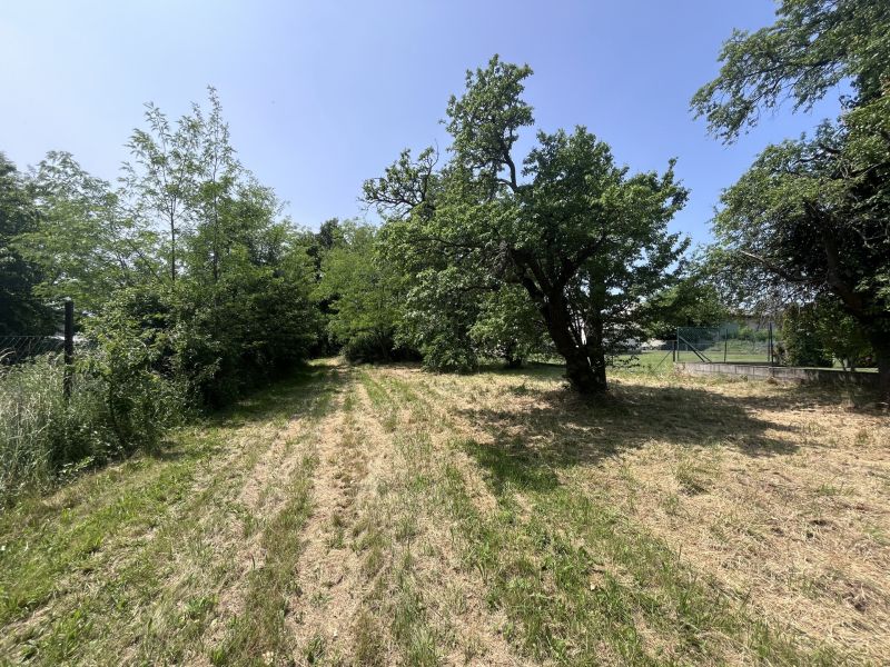 Grundstck mit Altbestand /  / 2413 Edelstal / Bild 14