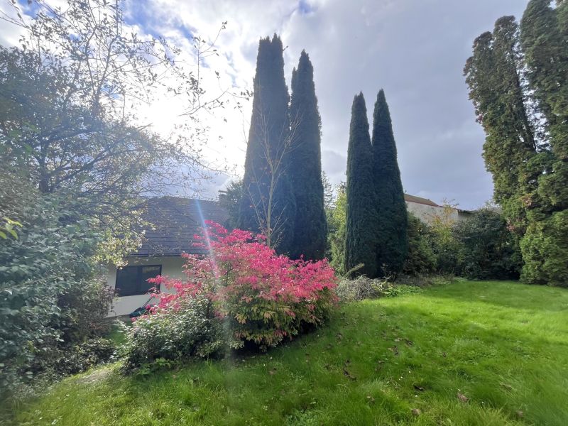 Gepflegtes Einfamilienhaus in absoluter Ruhelage /  / 2384 Breitenfurt bei Wien / Bild 4