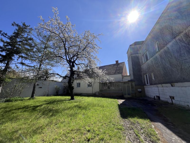 12 Zimmer Haus  mit Geschftslokal auf 948 m2 Grundstck /  / 2500 Baden / Bild 2