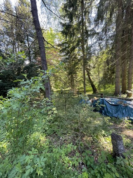 EINMALIG! Haus 300 Meter von der MITTELSTATION STUHLECK entfernt /  / 8684 Spital am Semmering / Bild 9