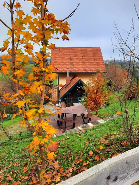 Bezauberndes Haus im Naturparadies /  / 8621 Thrl / Bild 3