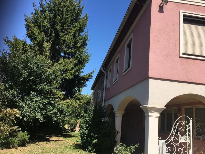 BAUTRGER AUFGEPASST!!! /  / 2331 Vsendorf / Bild 2