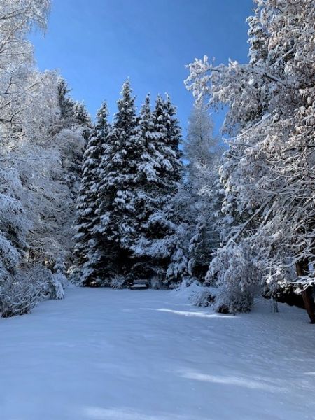 300 Meter von der MITTELSTATION STUHLECK entfernt /  / 8684&nbsp;Spital am Semmering / Bild 1