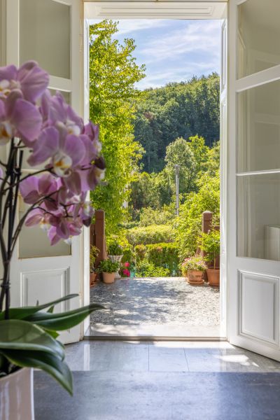 ***UNIKAT***VILLA WEIDLING*** /  / 3400 Weidling / Weidling / Bild 3