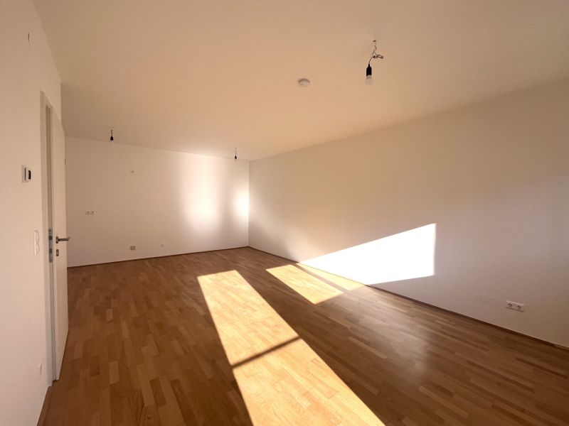 Freundliche Wohnung mit S�dbalkon /  / 2340&nbsp;M�dling / Bild 6