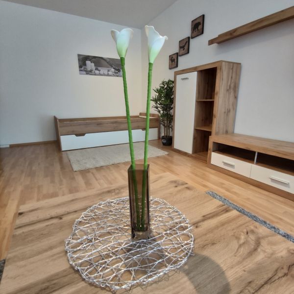 Wohnung mit Balkon /  / 2340&nbsp;M�dling / Bild 0