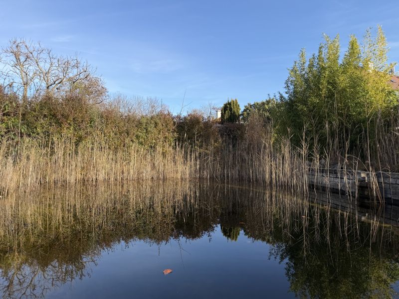 Charmantes Haus mit Schwimmteich /  / 2602 Blumau-Neurihof / Bild 4