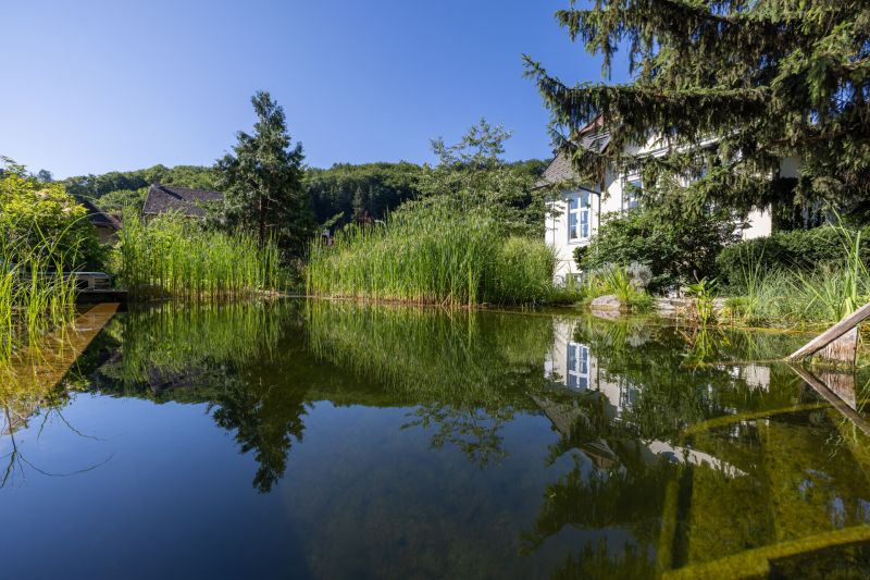 ***UNIKAT***VILLA WEIDLING*** /  / 3400 Weidling / Weidling / Bild 5