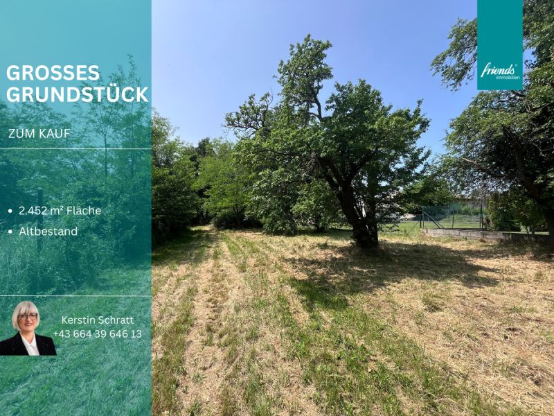 Grundst�ck mit Altbestand
