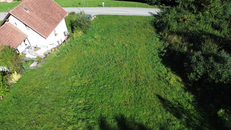 Baugrundstck Steinakirchen - Nhe Golfplatz - kein Bauzwang
