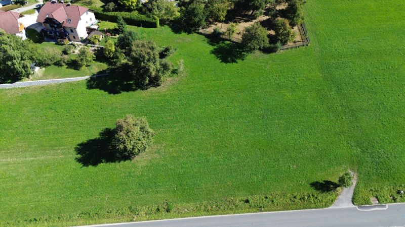 Baugrundstck Steinakirchen - Nhe Golfplatz - kein Bauzwang /  / 3261 Steinakirchen am Forst / Bild 1