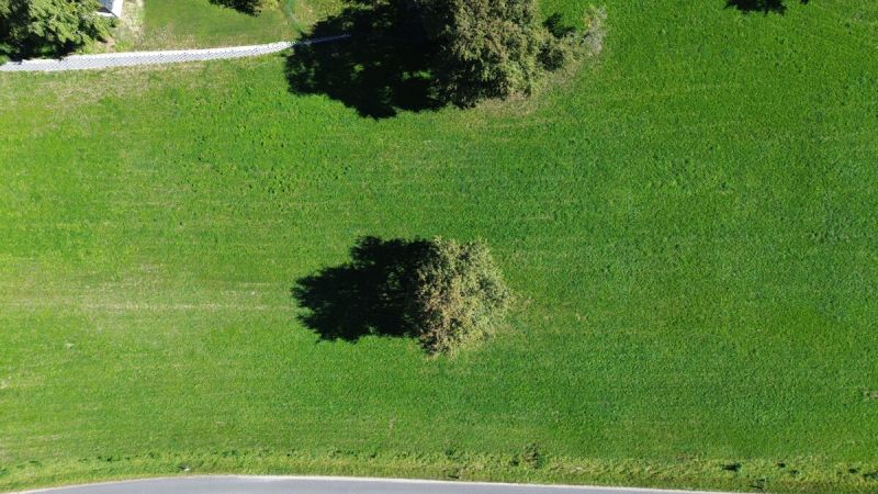 Baugrundstck Steinakirchen - Nhe Golfplatz - kein Bauzwang