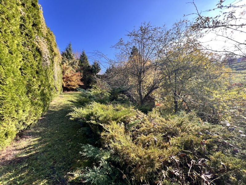 Liegenschaft in ruhiger Lage mit großem Garten / / 3270 Scheibbs / Bild 5
