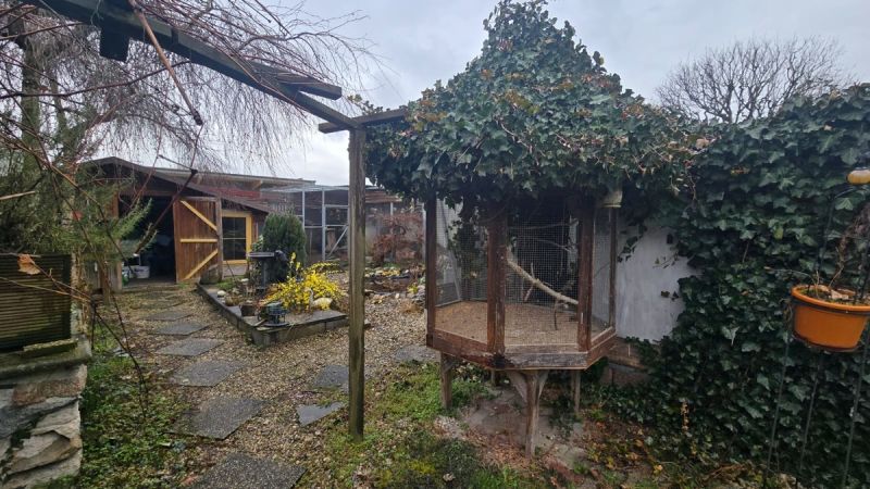 Einfamilienhaus in Amstetten /  / 3300 Amstetten / Bild 6