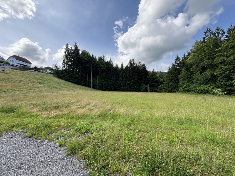 Bauernhaus mit groem Grundstck in Seitenstetten /  / 3353 Seitenstetten / Bild 5