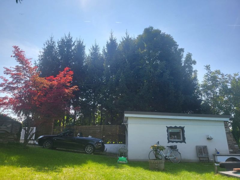 Einfamilienhaus in Erlauf /  / 3253 Erlauf / Bild 5