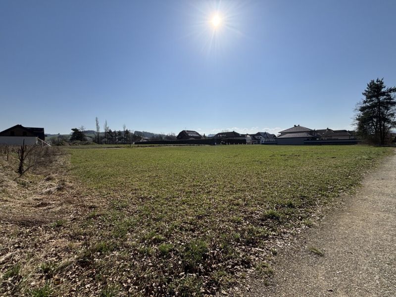 Baugrundst�ck ohne Bauzwang in M�hling - ideal f�r Ihr Eigenheim! /  / 3250&nbsp;M�hling / Bild 0