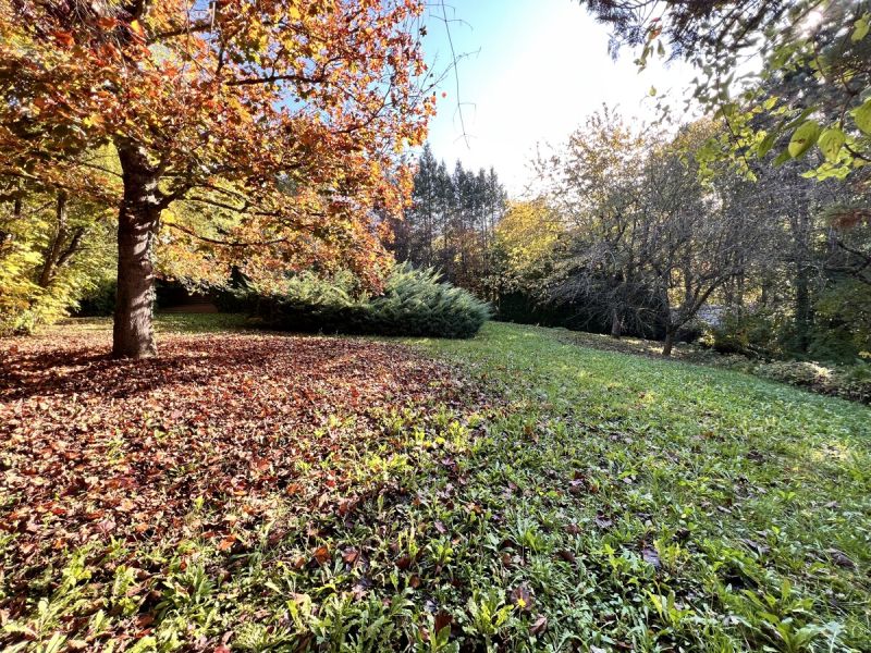 Liegenschaft in ruhiger Lage mit großem Garten / / 3270 Scheibbs / Bild 3