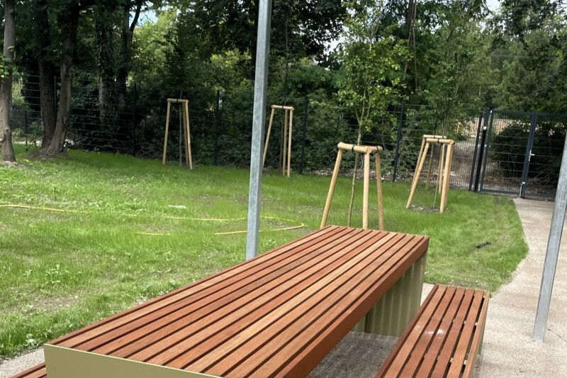 Family Green Living - 3 Zimmer, Terrasse und gro�er Eigengarten - provisionsfrei zu kaufen in 1230 Wien /  / 1230&nbsp;Wien / Bild 11