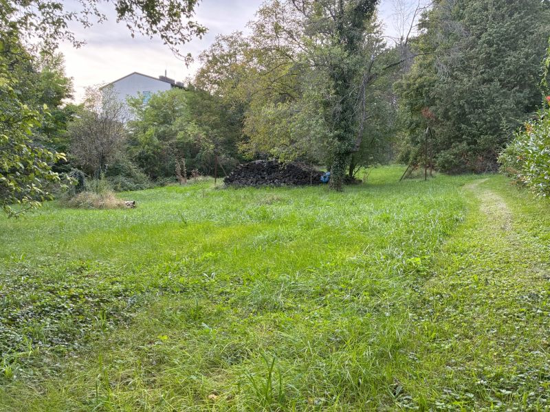 Exklusives Baugrundst�ck in begehrter Lage in Hinterbr�hl - zu kaufen in 2371 Hinterbr�hl /  / 2371&nbsp;Hinterbr�hl / Bild 6