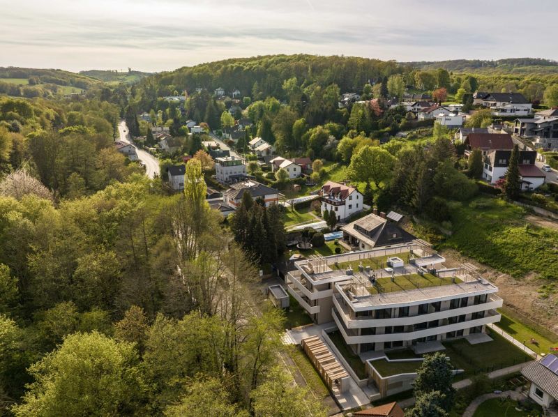 Einzigartige Dachgeschoß-Wohnung mit Terrassen und eigenem Dachgarten - Luft-Wärme-Pumpe - bezugsfertig zu kaufen in 2391 Kaltenleutgeben / / 2391 Kaltenleutgeben / Bild 5