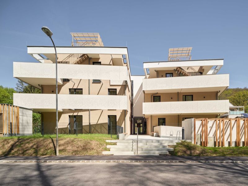 Einzigartige Dachgeschoß-Wohnung mit Terrassen und eigenem Dachgarten - Luft-Wärme-Pumpe - bezugsfertig zu kaufen in 2391 Kaltenleutgeben / / 2391 Kaltenleutgeben / Bild 4