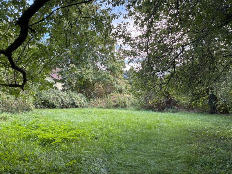 Exklusives Baugrundst�ck in begehrter Lage in Hinterbr�hl - zu kaufen in 2371 Hinterbr�hl /  / 2371&nbsp;Hinterbr�hl / Bild 4